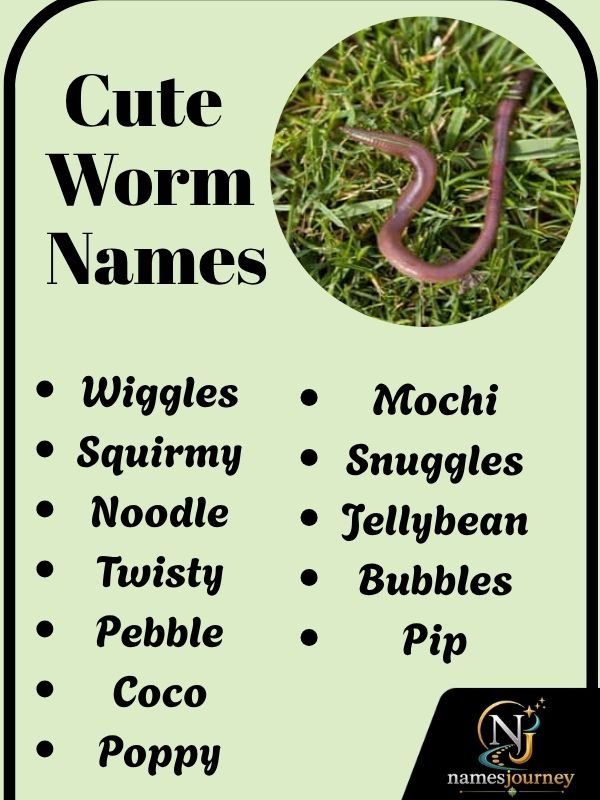 Cute Worm Names