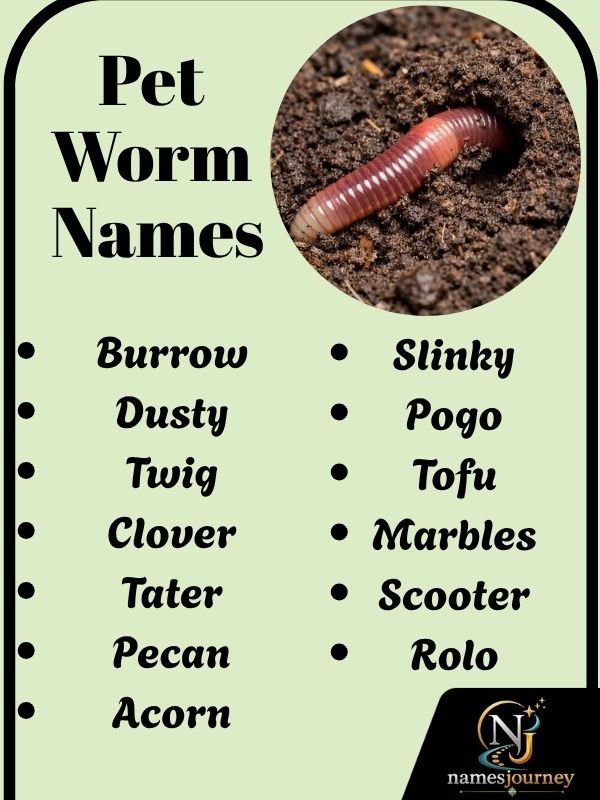 Pet Worm Names