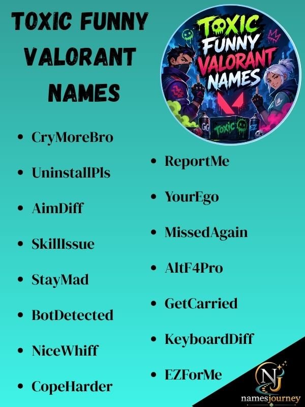 Toxic Funny Valorant Names